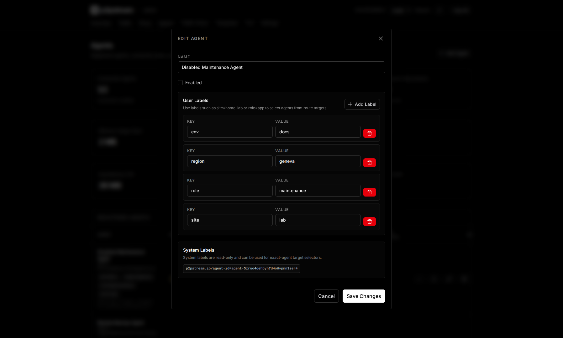 p2pstream agent editor showing user labels and read-only system labels for route target selection
