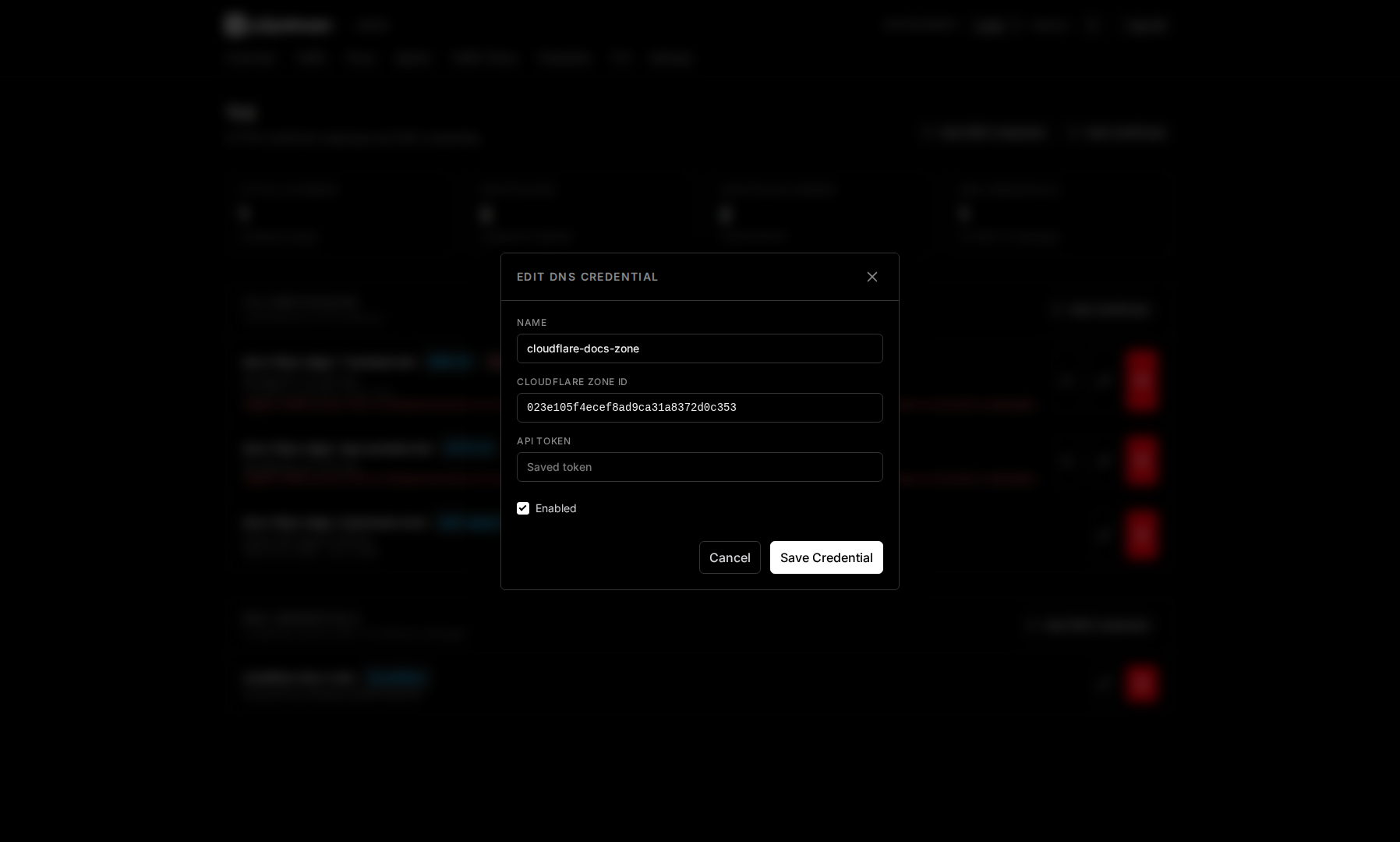p2pstream DNS credential editor showing Cloudflare zone ID, API token, provider, and enabled state